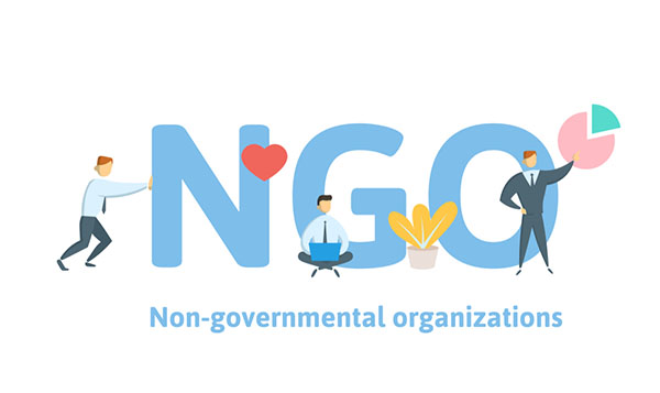 NGO Formation
